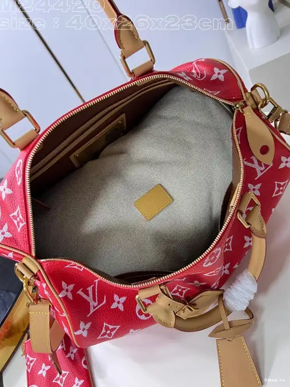 SPEEDY 40 Louis Vuitton 0610